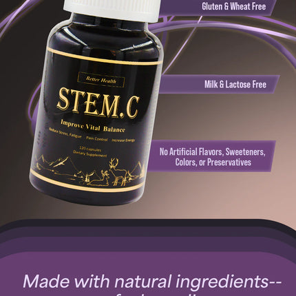 [HL101] Stem. C Wild Ginseng